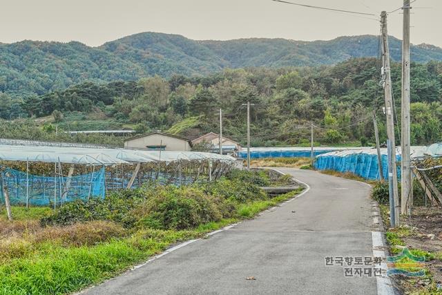 대표시청각 이미지