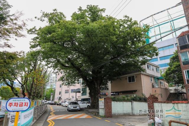 대표시청각 이미지