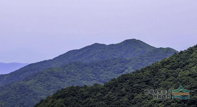 대표시청각 이미지