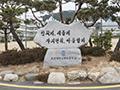 조선대학교부속중학교 교훈 썸네일 이미지